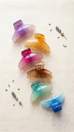 Multicolour Hair Cleature (Pack Of 6 Pieces)